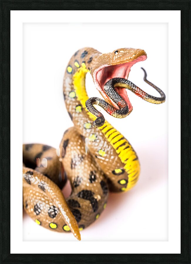 Snake vs Snake Picture Frame print