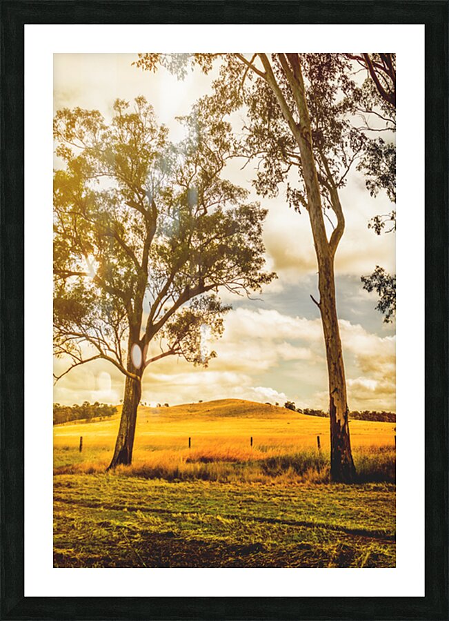 Outback Gold Picture Frame print