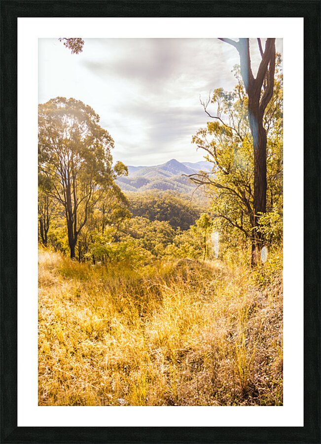 Queensland Country Picture Frame print