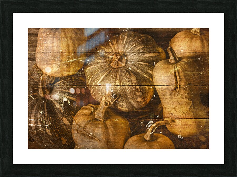 Squash Signboard Picture Frame print