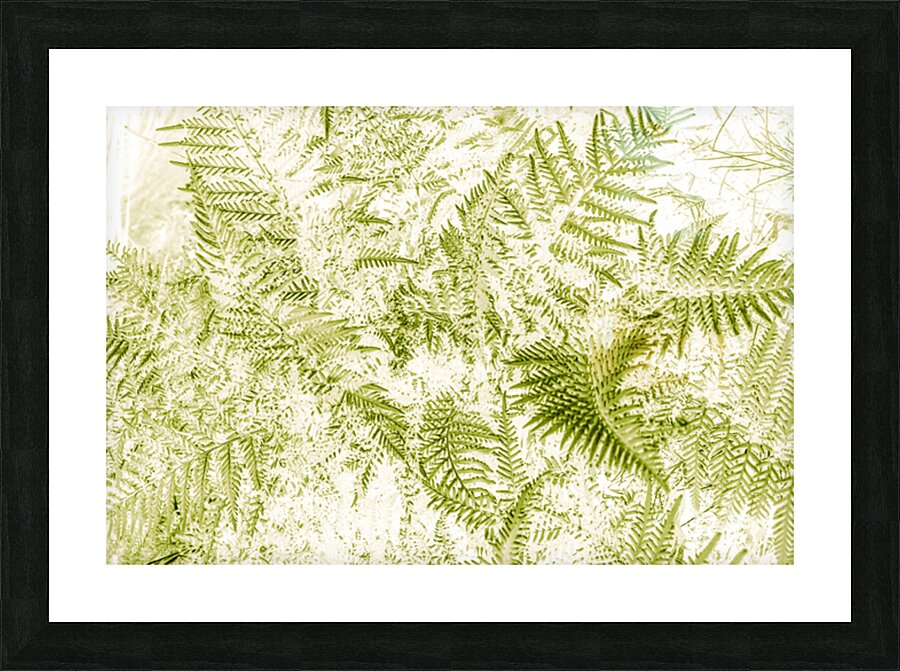 Ferny Forestry Picture Frame print