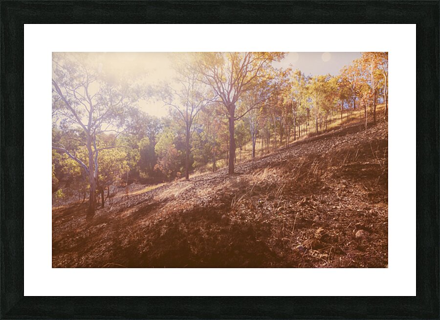 The Warmth Picture Frame print