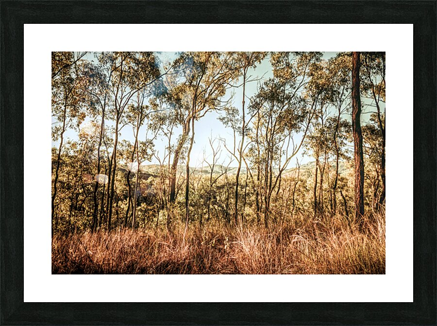 High Country Picture Frame print