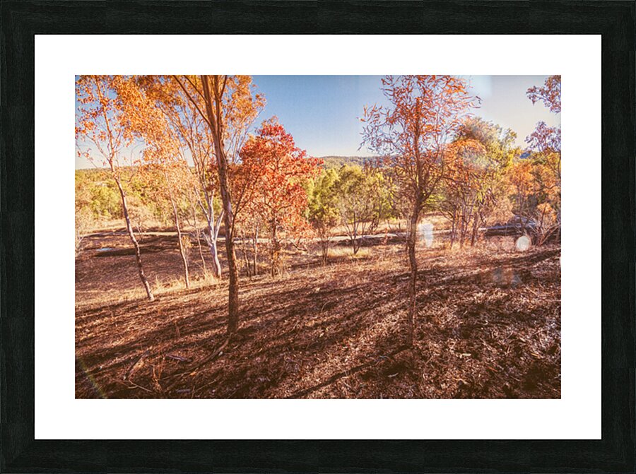 Road Outback Picture Frame print