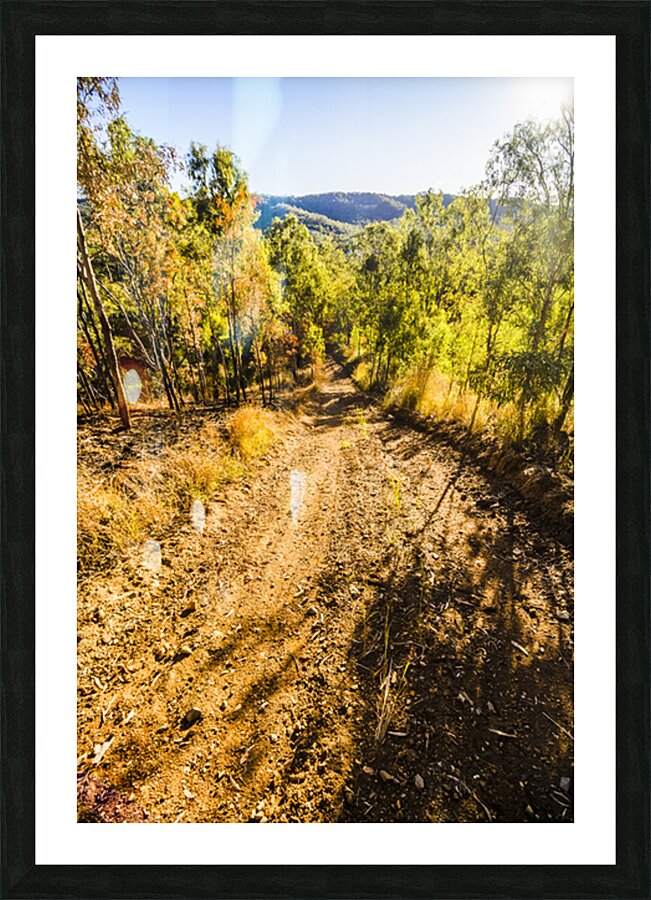 Rural Route Picture Frame print