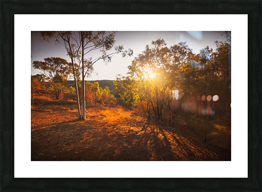 Rural Reds Picture Frame print