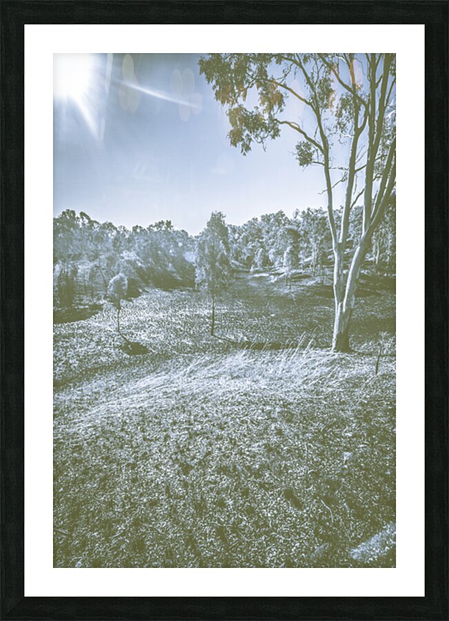 Barren Winterscape Picture Frame print