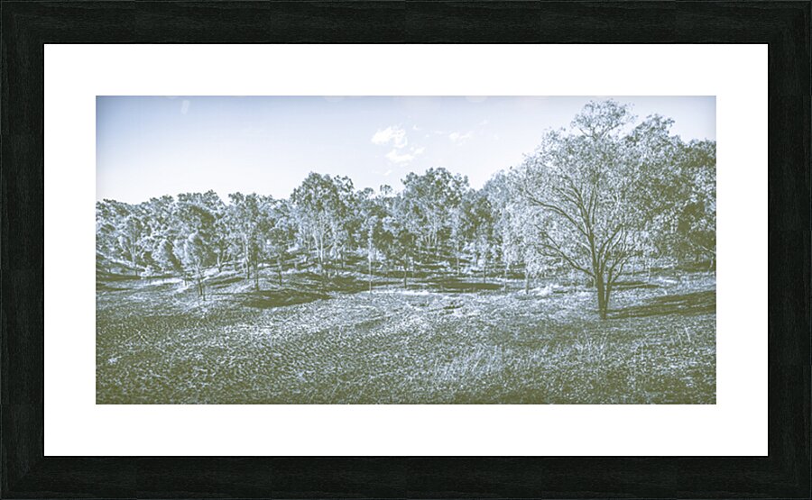 Wide Winter Wonder Picture Frame print