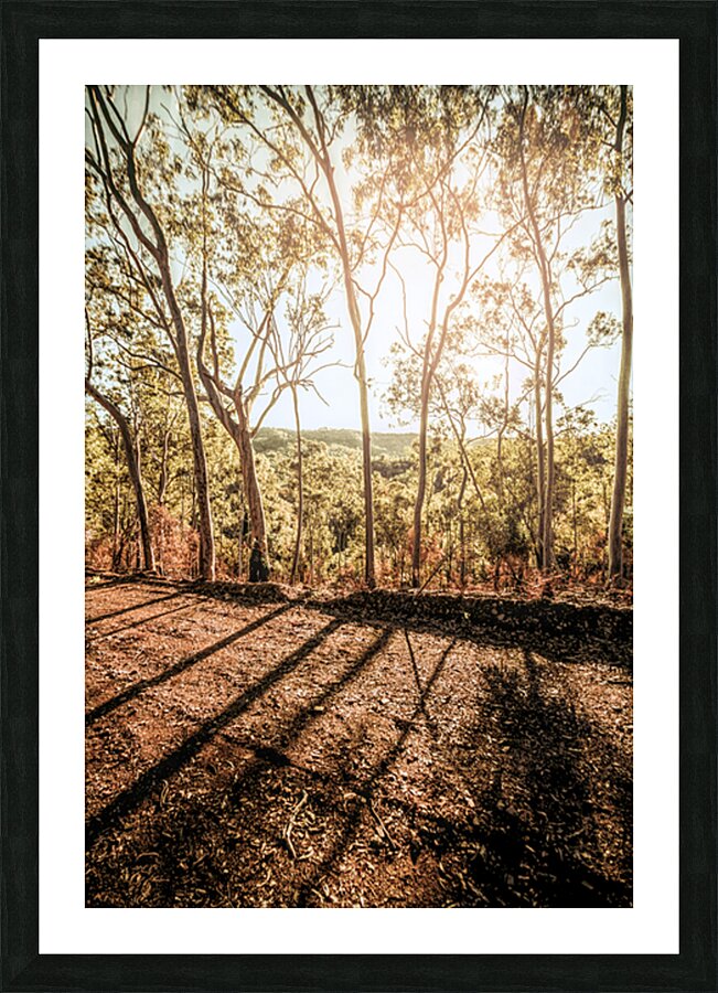 Valley Ridge Road Picture Frame print