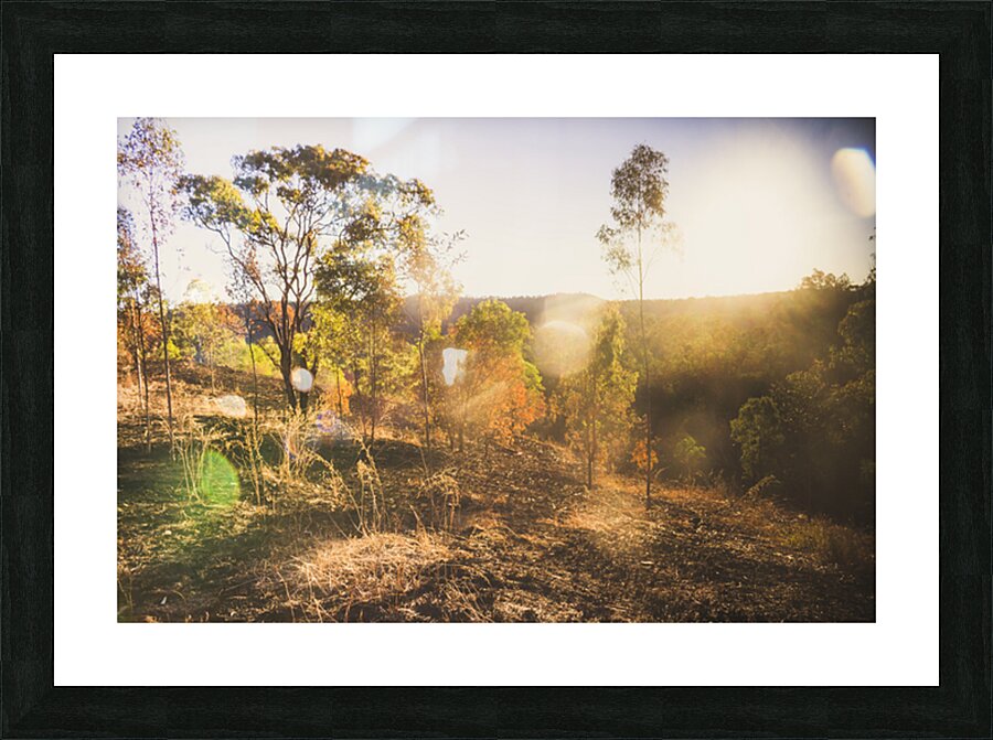 Flares And Fades Picture Frame print