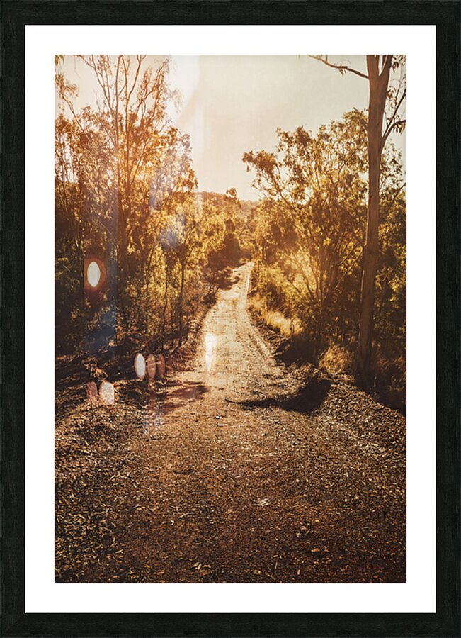 Sunflare Thoroughfare  Picture Frame print