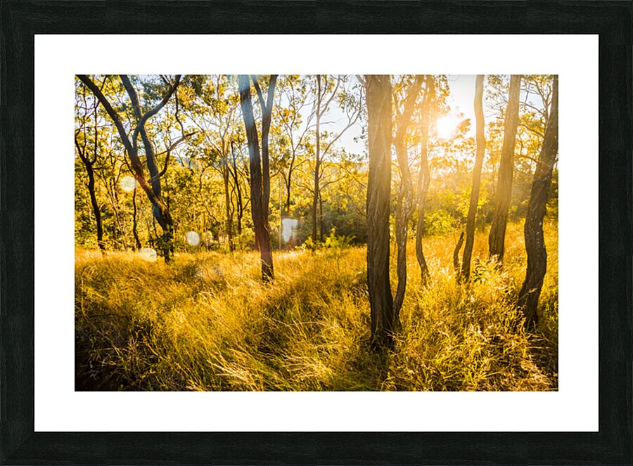 Grasslands Golden Picture Frame print