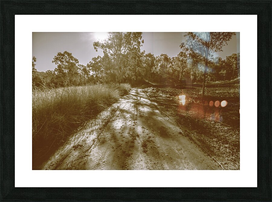 Tessellated Trail Picture Frame print