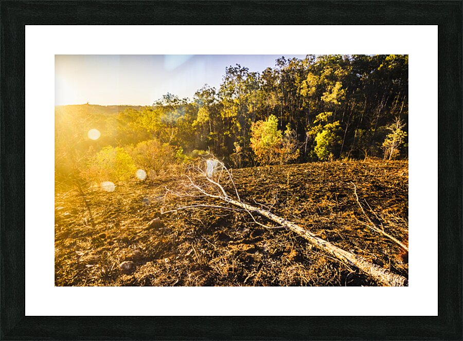 Awash In Sundown Picture Frame print