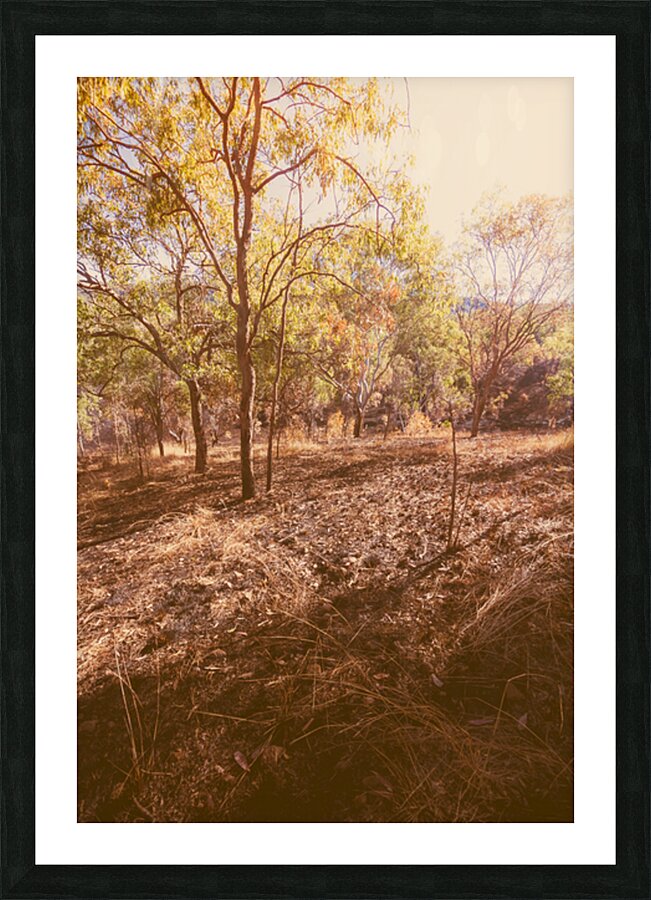 Afternoons Afterglow Picture Frame print