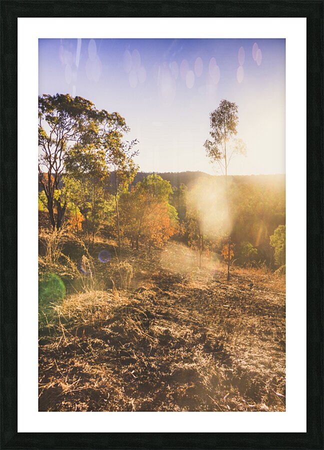 Sunflare Valley Views Picture Frame print