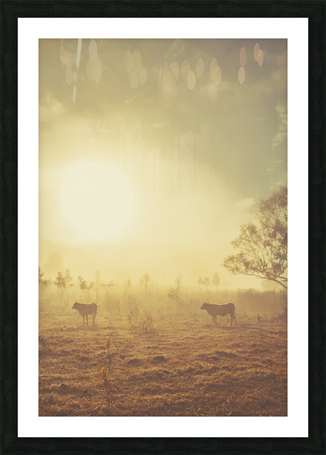 Crisp Country Picture Frame print