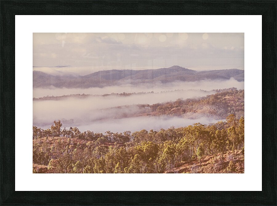 Wooded Fog Picture Frame print