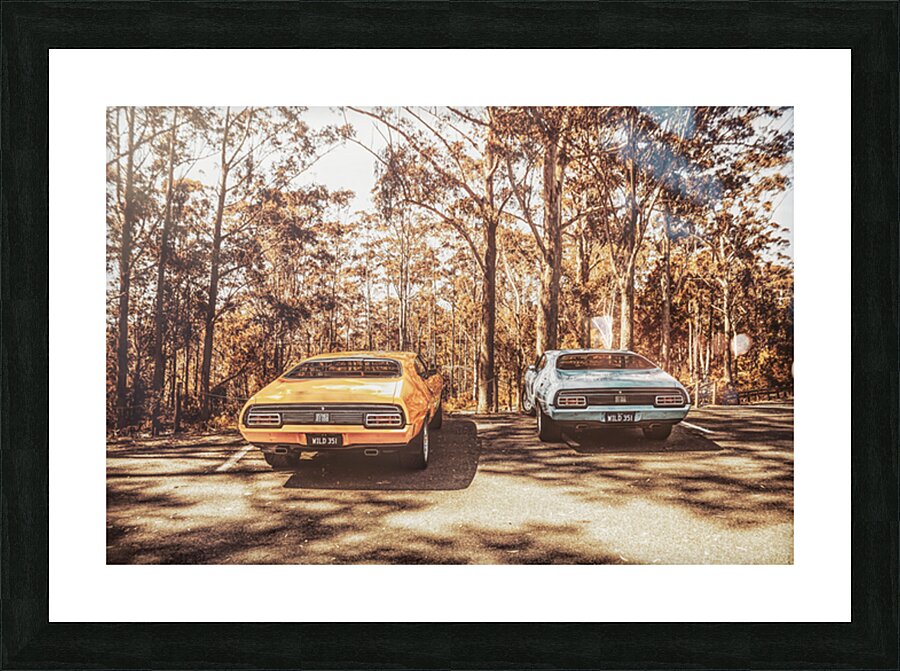 Double Trouble Picture Frame print