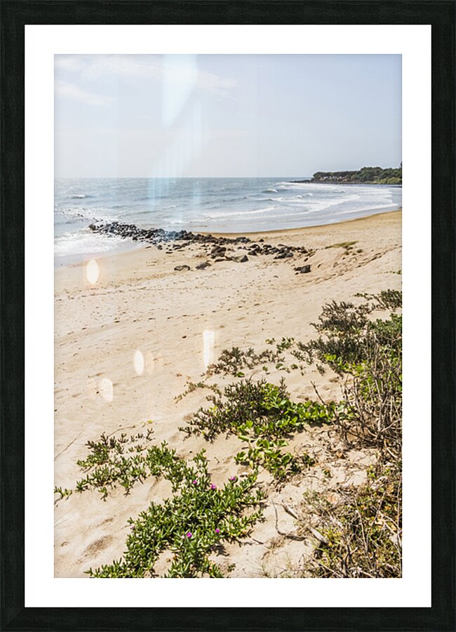 Queensland Calm Picture Frame print