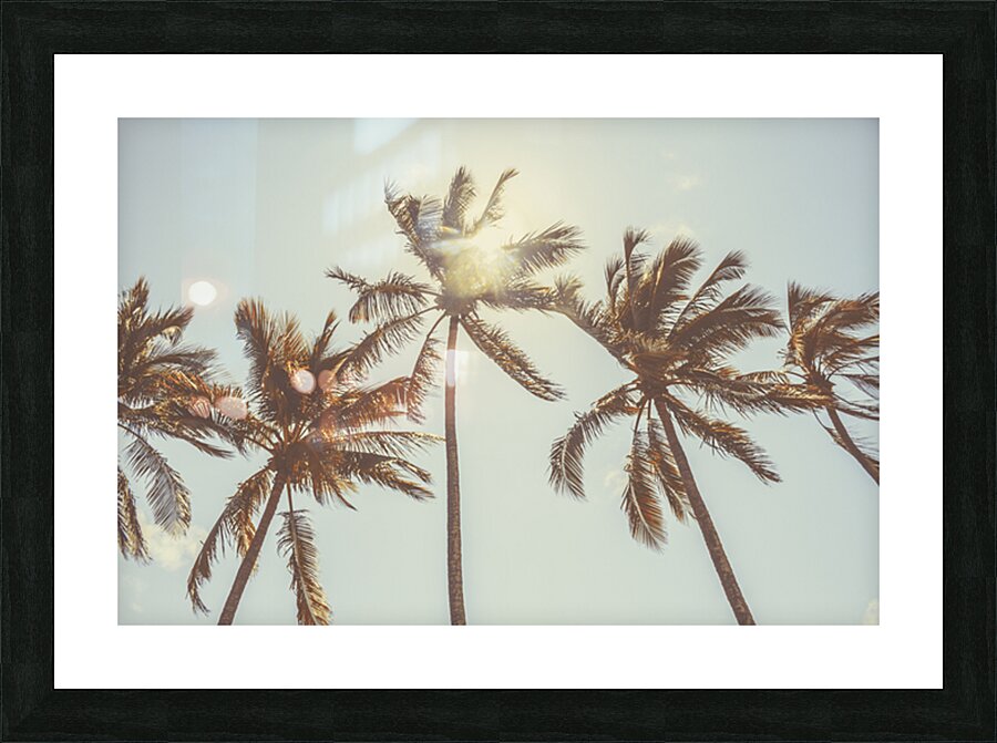 Palmy Summers Picture Frame print