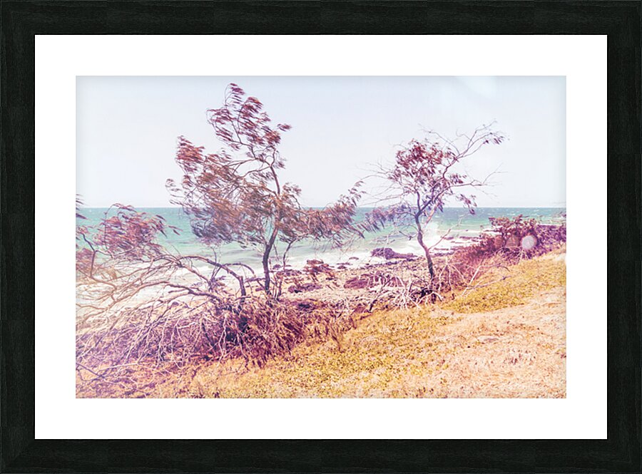Breezy Coastal Retroism Picture Frame print