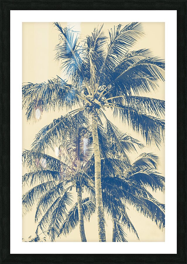 The Fronds Picture Frame print