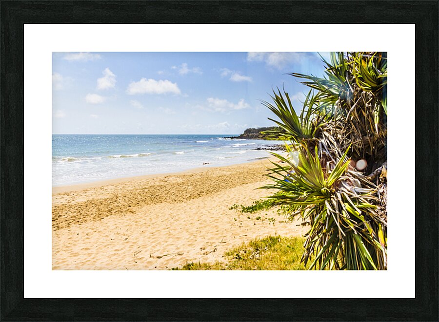 Beyond The Palms Picture Frame print