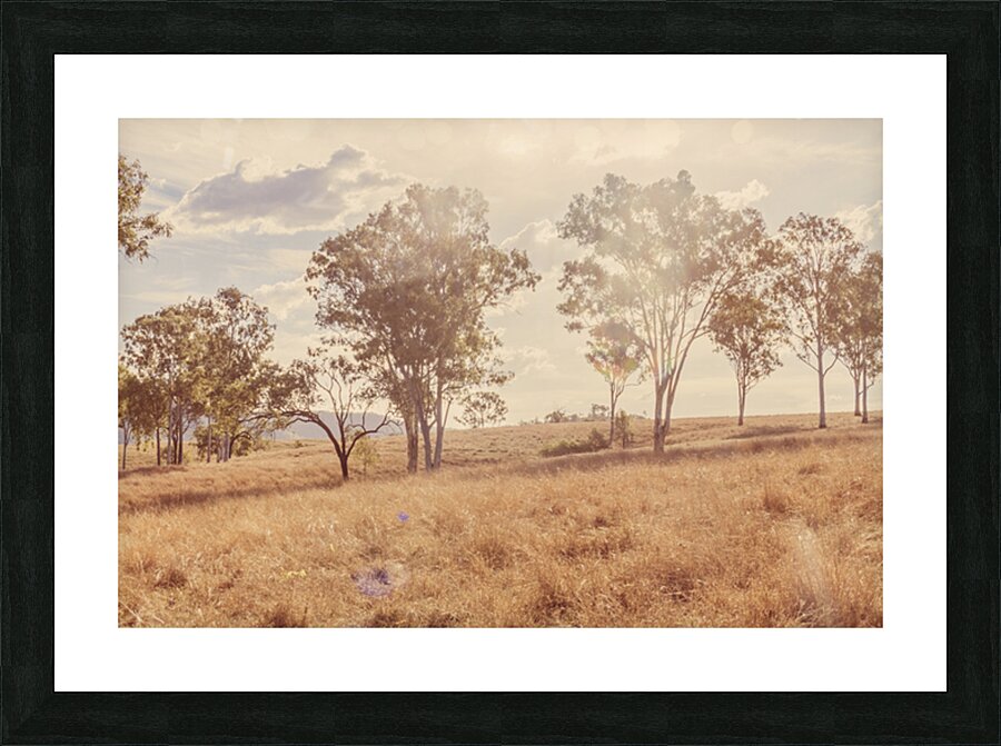 Sunlit Slopelands Picture Frame print