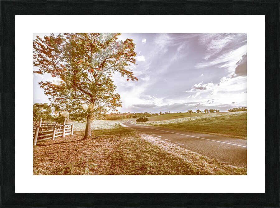 Acacia Avenue Picture Frame print