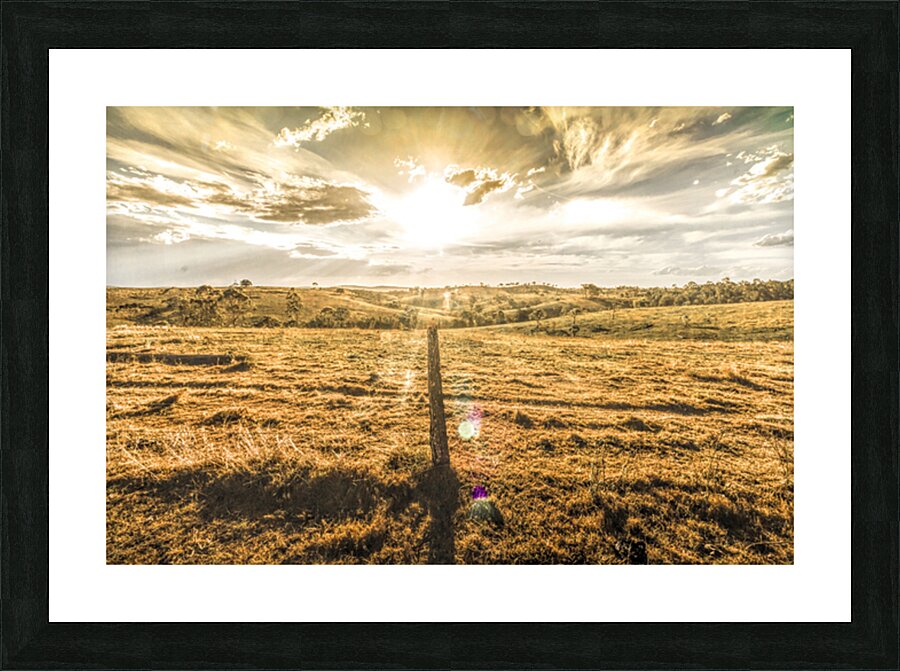 Golden Light Picture Frame print