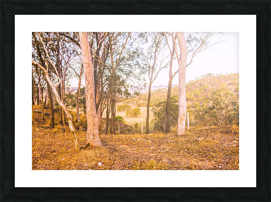 Hillside Quietude Picture Frame print