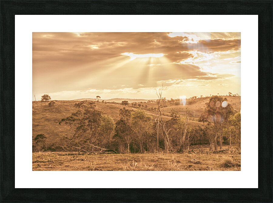 Gold Country Picture Frame print