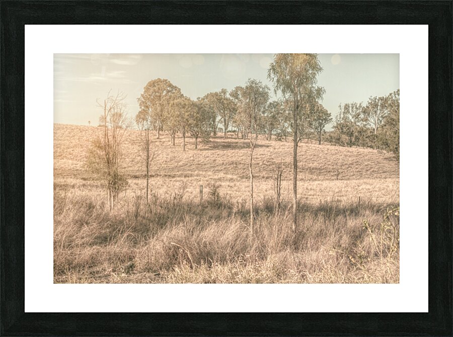 Muted Outbacks Picture Frame print