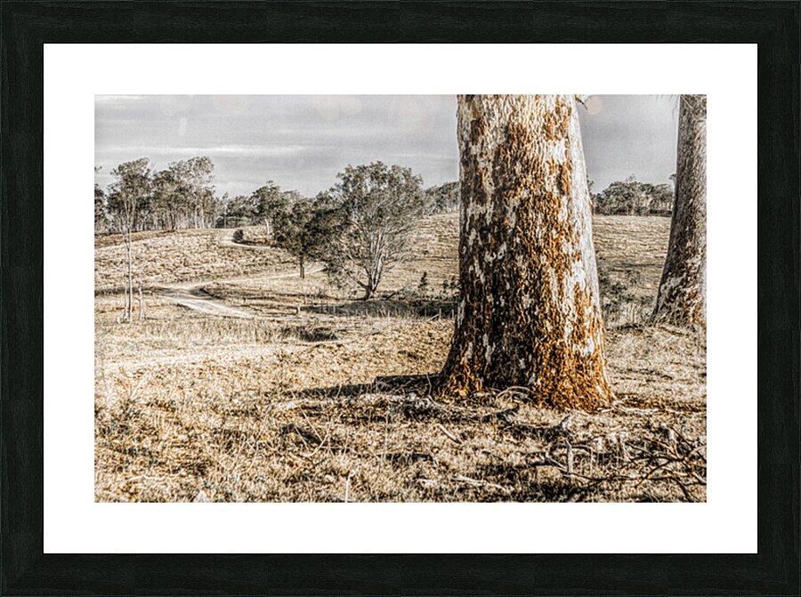 Country Wash Picture Frame print