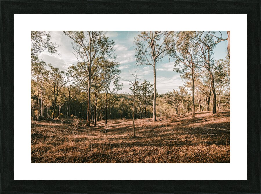 Beauty And Rusticity Picture Frame print