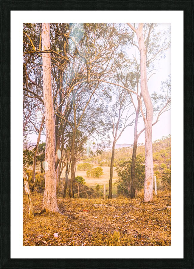 Elevated Country Outlook Picture Frame print