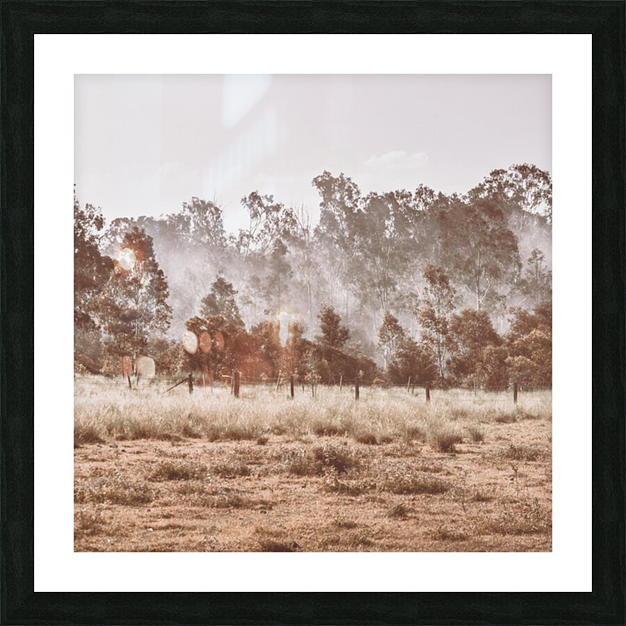 Pacified Paddock Picture Frame print