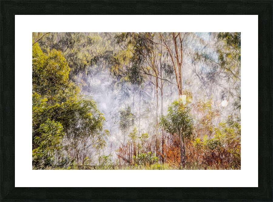 The Fog And The Forest Picture Frame print