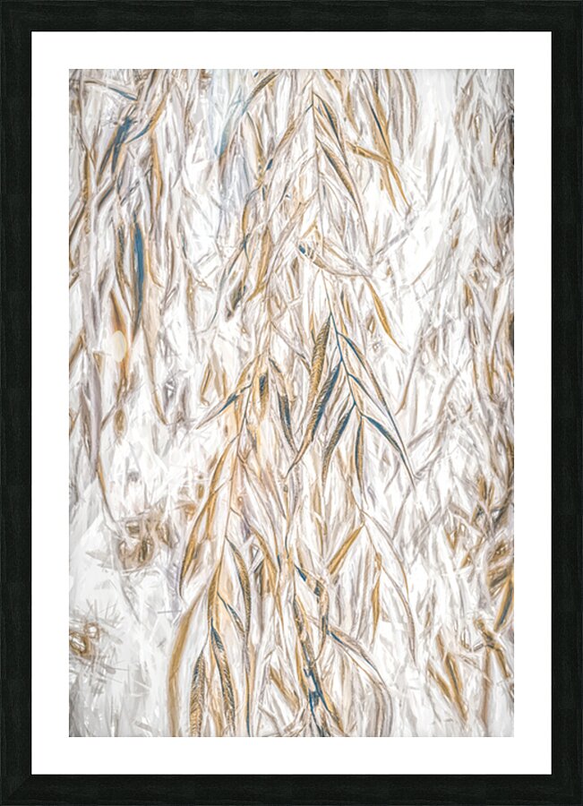 Weeping Willow Washes Picture Frame print