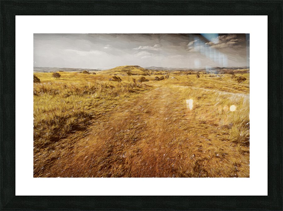 Trailing Branch Creek Picture Frame print