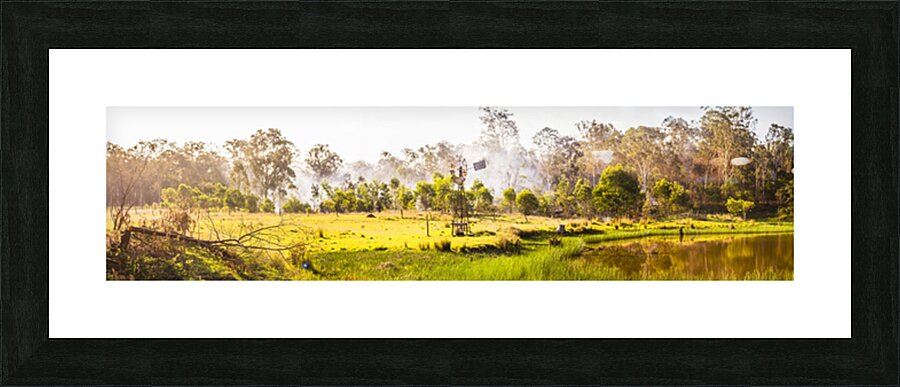 And Summer Dreaming. Picture Frame print