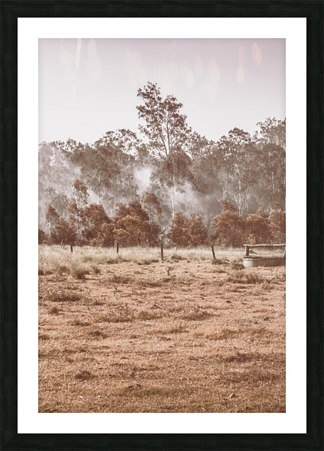 Misty Beauty Picture Frame print