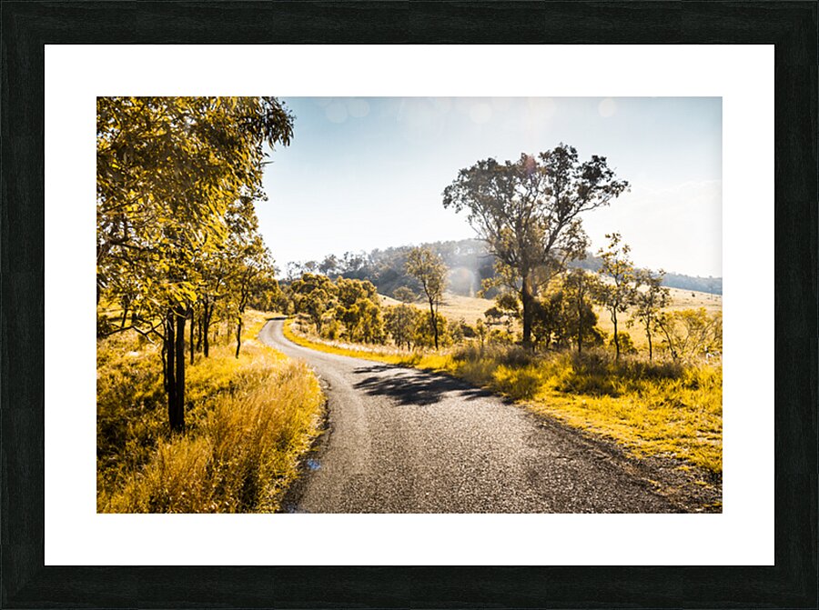 Summer Gold Picture Frame print