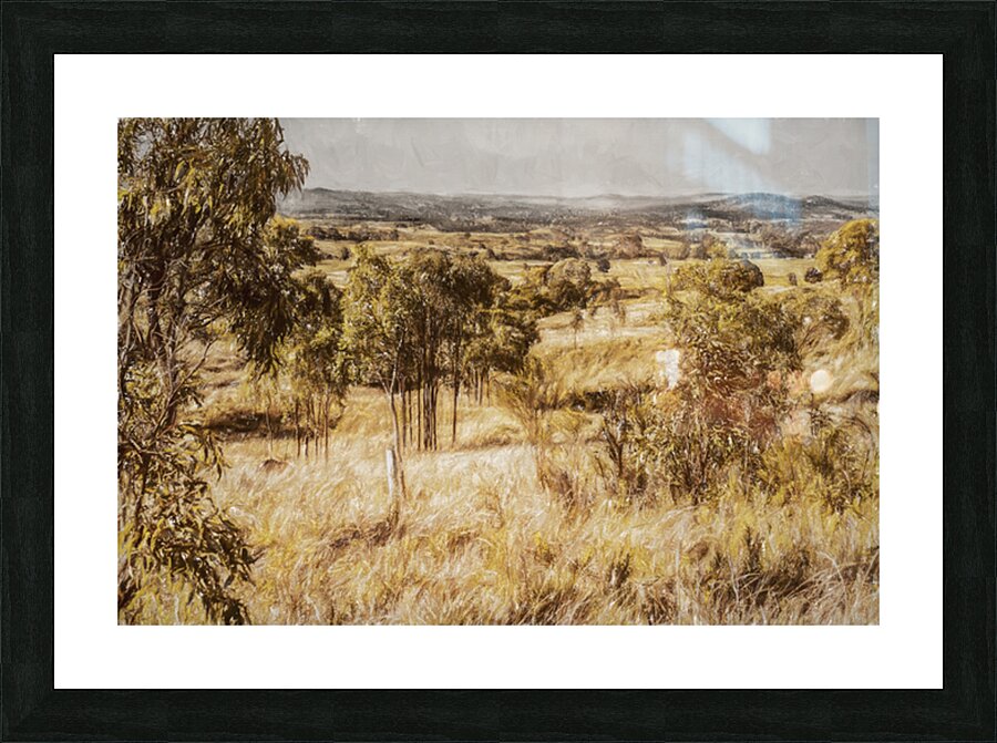 Branch Creek And Beyond Picture Frame print