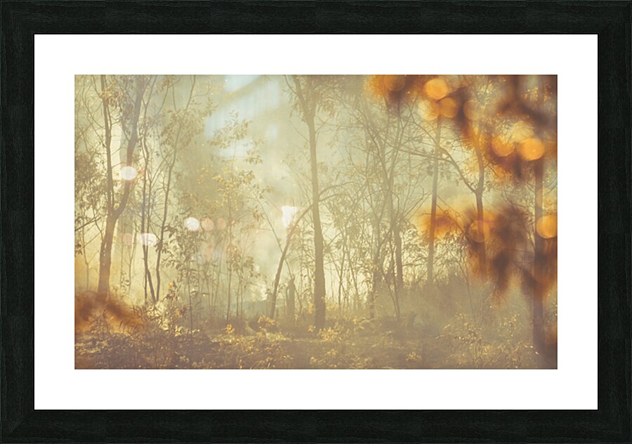 Wild Vagueness Picture Frame print