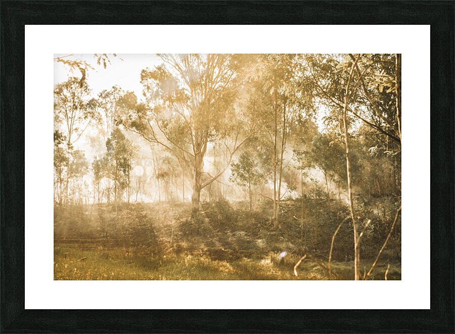 Branch Creek Magic Picture Frame print