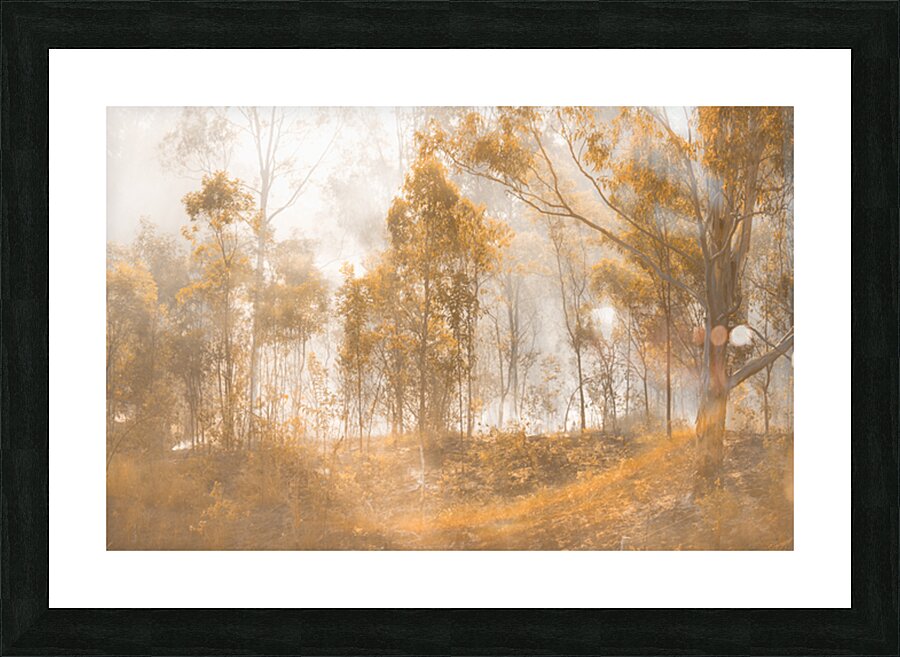 Mistery Picture Frame print