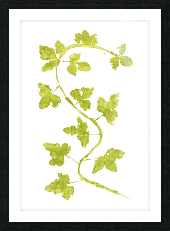 Vine Twist Picture Frame print