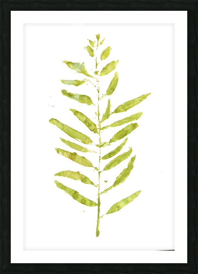 Painted Gum Picture Frame print